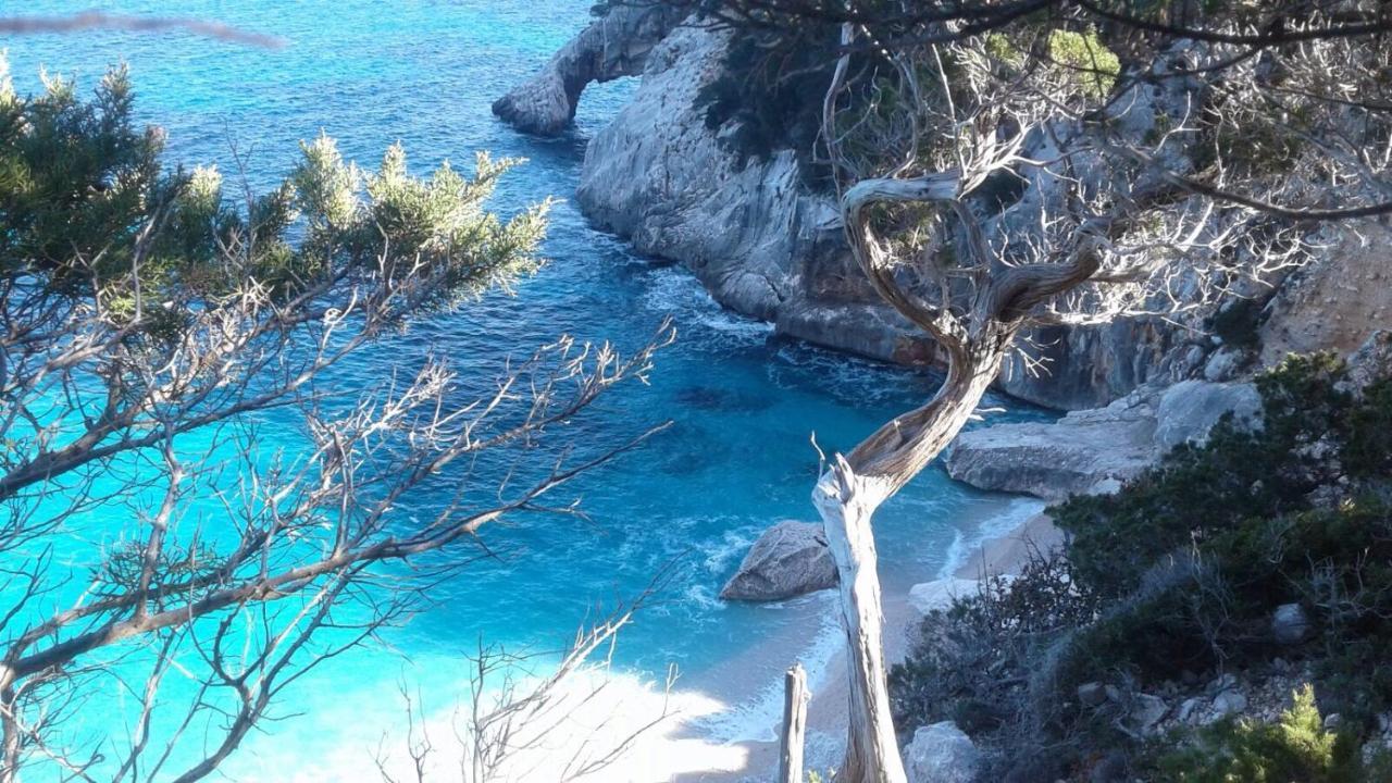 Fenile Apartments Santa Maria Navarrese Εξωτερικό φωτογραφία