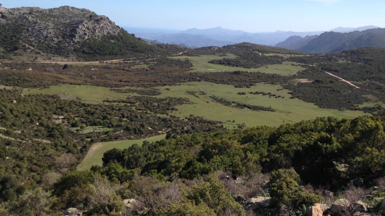 Fenile Apartments Santa Maria Navarrese Εξωτερικό φωτογραφία